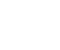 maximus-icon-consultancy.png