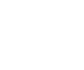 maximus-icon-protection.png