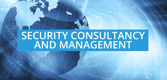 security-consultancy-and-management-home.jpg