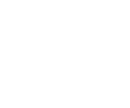 maximus-icon-homesecurity.png